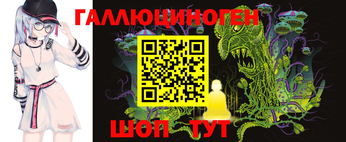 Галлюциногенные грибы Psilocybine cubensis Курчатов