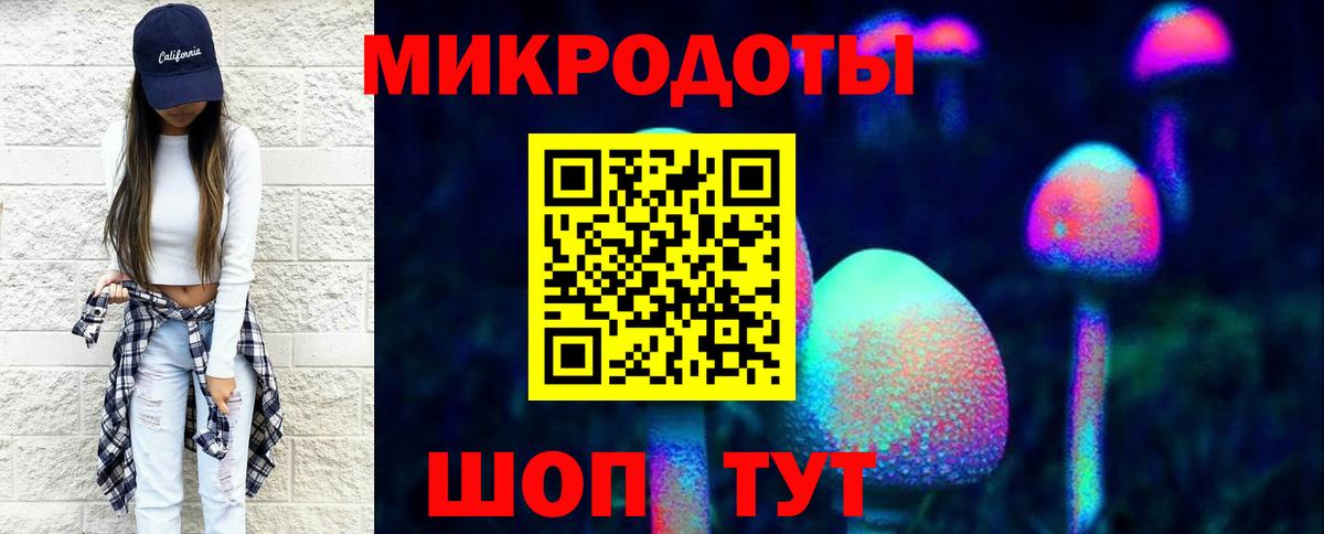 Курчатов  Псилоцибиновые грибы Cubensis  Вход с VPN  Галлюциногенные грибы MAGIC MUSHROOMS 